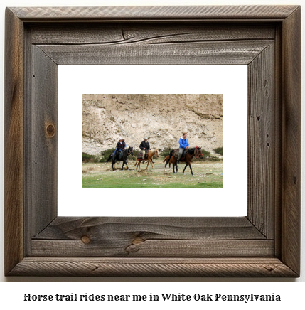 horse trail rides near me in White Oak, Pennsylvania